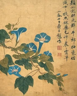 Album de douze feuilles : fleurs (affiches d'art)