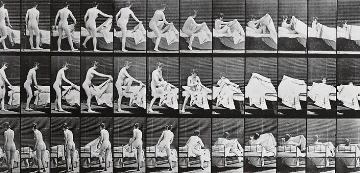 Best Animal Locomotion : femme nue se coucha (panneaux aluminium) Panneaux Aluminium|Toiles Encadrées