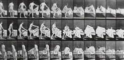 Animal Locomotion : femme nue se coucha (panneaux acryliques)