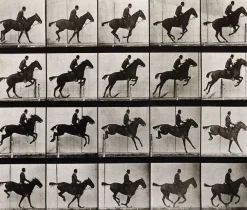Sale Animal Locomotion : Saut d'obstacle, cheval noir (toiles sur châssis) Toiles Sur Châssis|Toiles Sans Cadre
