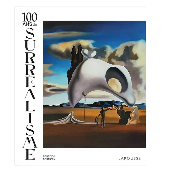 Best 100 ans de Surréalisme Livres D'Art