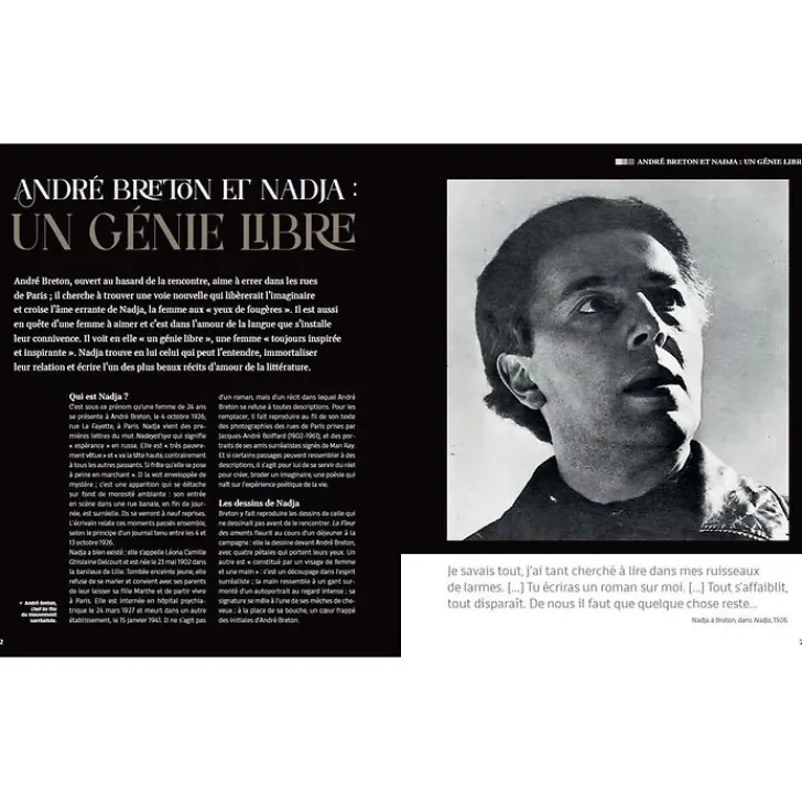Best 100 ans de Surréalisme Livres D'Art