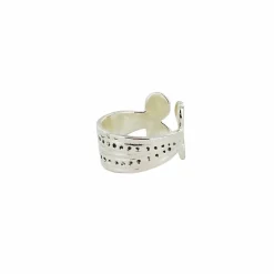 Bague du trésor de Rongères - Argent