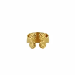 Bague du trésor de Rongères - Plaqué or
