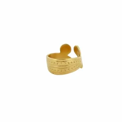 Bague du trésor de Rongères - Plaqué or