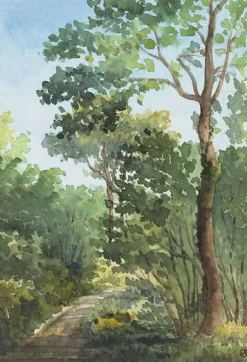 Bois de l'Etoile à Bois Guillaume (près de Rouen) (panneaux acryliques)