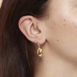 Boucles d'oreilles Égypte - Scarabée