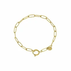Bracelet pour charm's à maillons trombones