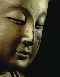 New Buddha enseignant faisant le geste de la prédication (toiles encadrées) Toiles Encadrées|Toiles Sur Châssis
