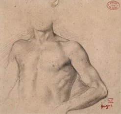 Buste de jeune homme nu (toiles encadrées)