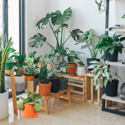 Cache-pot XXL - Béton Orange