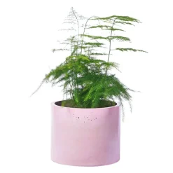 Cache-pot XXL - Béton Rose pastel