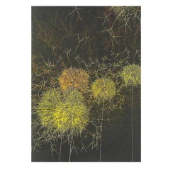 Clearance Cahier Artistes et robots - Les Pissenlits Cahiers Et Carnets