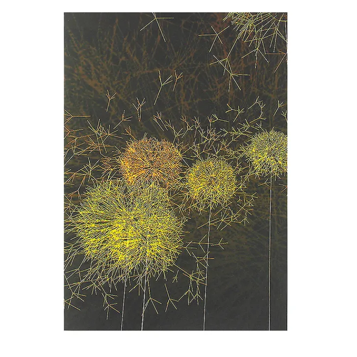 Clearance Cahier Artistes et robots - Les Pissenlits Cahiers Et Carnets