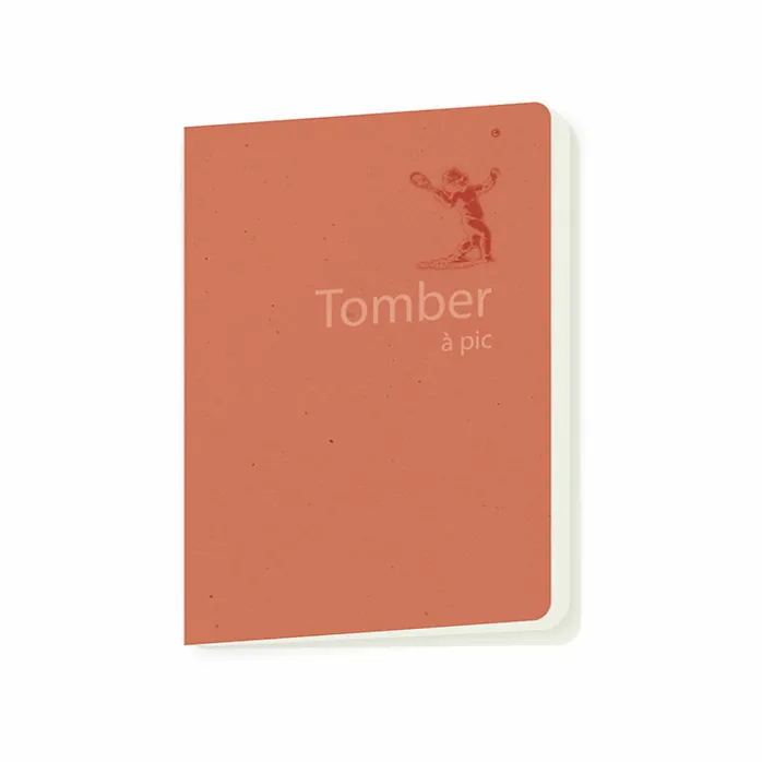Cahier Château de Fontainebleau - Tomber à pic