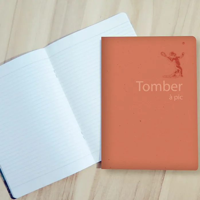Cahier Château de Fontainebleau - Tomber à pic