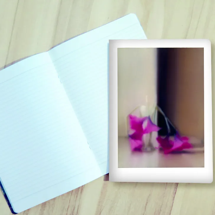New Cahier Gerhard Richter - Blumen, 1994 Cahiers Et Carnets