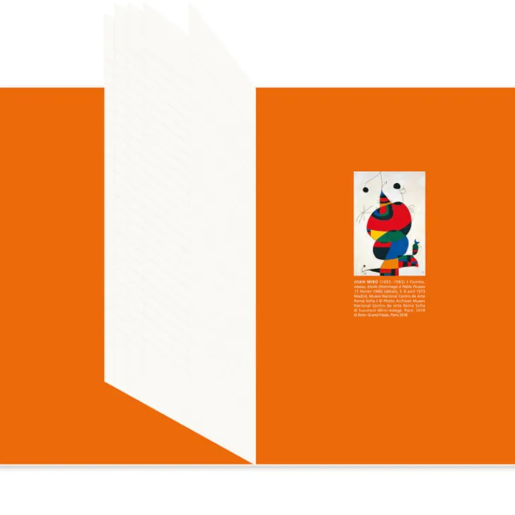Outlet Cahier Joan Miró - Femme, oiseau, étoile Cahiers Et Carnets