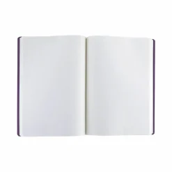 Cahier à élastique Joan Miró - Illustration du livre 