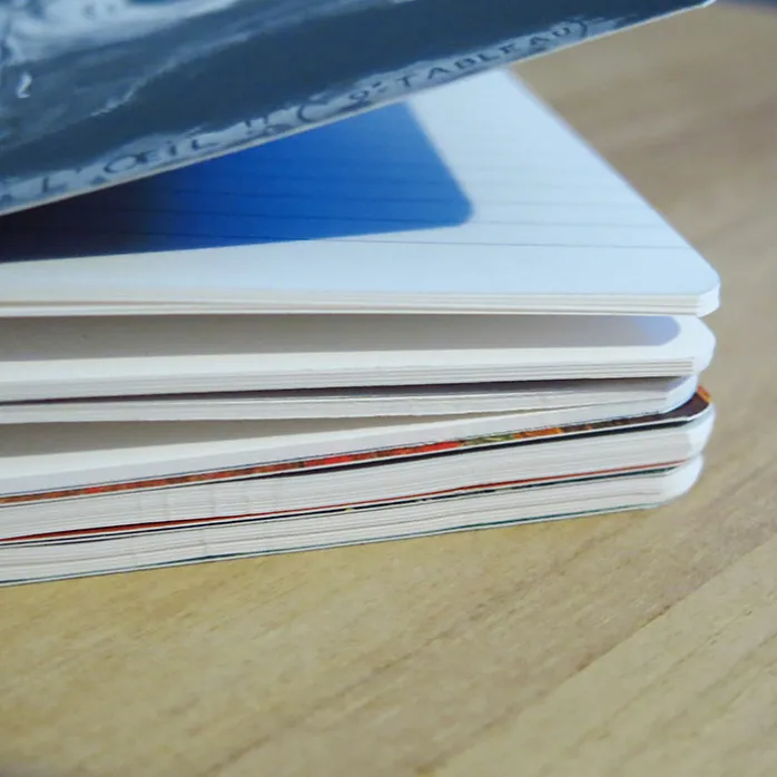 Cahier long Henri de Toulouse-Lautrec - L'estampe originale, 1893