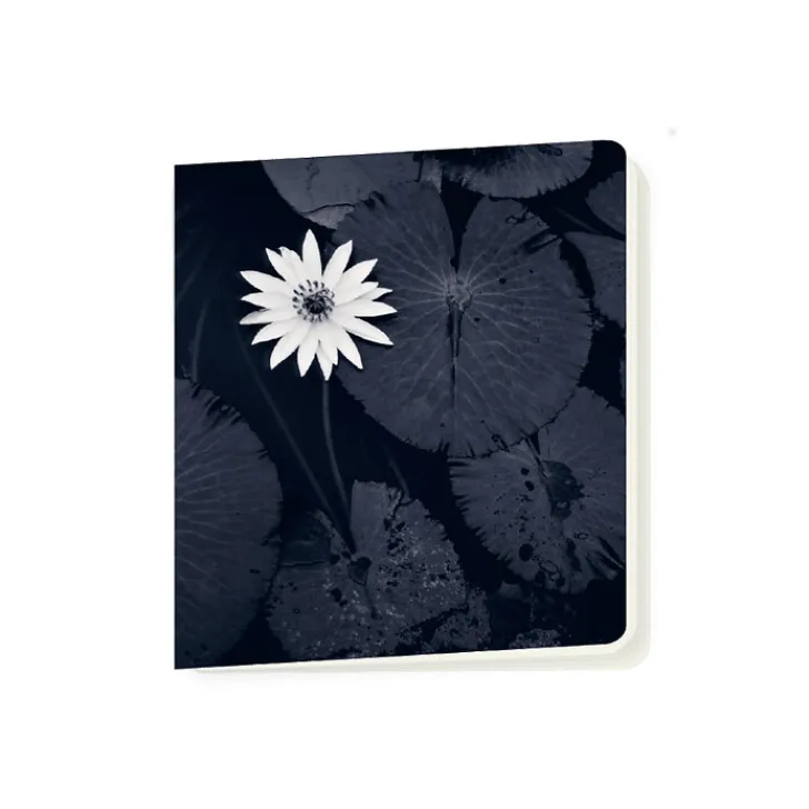 Online Cahier Michael Kenna - La fleur de lotus de Mamta, Viengkeo, Luang Prabang, Laos, 2015 Cahiers Et Carnets