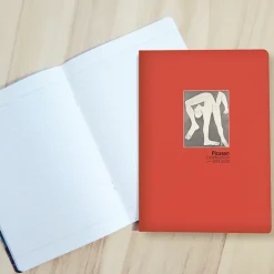 Clearance Cahier Pablo Picasso Célébration 1973-2023 - L'Acrobate, 1930 - Fond orange Cahiers Et Carnets
