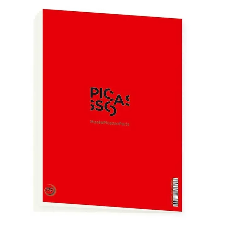 Hot Cahier Pablo Picasso - Les baigneuses Cahiers Et Carnets