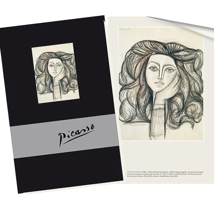 Hot Cahier Pablo Picasso - Portrait de Françoise Cahiers Et Carnets