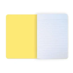 Cahier Picasso Iconophage Cahiers Et Carnets