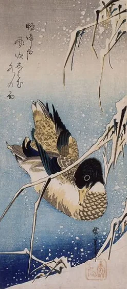 Canard et roseaux sous la neige (toiles sur châssis)