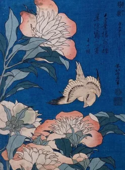Canari et pivoines (affiches d'art encadrées)