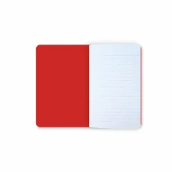 Carnet Anne Vallayer-Coster - Panaches de mer