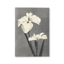 Carnet de notes - Fleurs japonaises Cahiers Et Carnets
