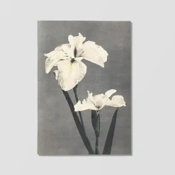 Carnet de notes - Fleurs japonaises Cahiers Et Carnets