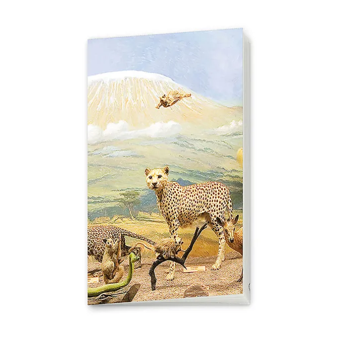 Carnet - Diorama du Kilimandjaro