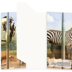 Carnet - Diorama du Kilimandjaro