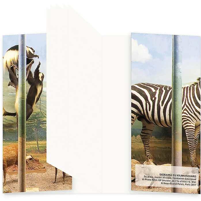 Carnet - Diorama du Kilimandjaro