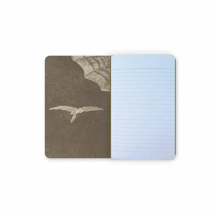 Discount Carnet Francisco de Goya y Lucientes - Une façon de voler, 1816-1823 Cahiers Et Carnets