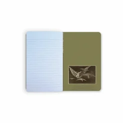 Discount Carnet Francisco de Goya y Lucientes - Une façon de voler, 1816-1823 Cahiers Et Carnets
