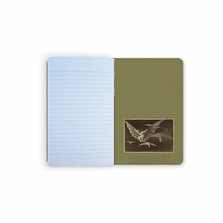 Discount Carnet Francisco de Goya y Lucientes - Une façon de voler, 1816-1823 Cahiers Et Carnets