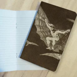 Discount Carnet Francisco de Goya y Lucientes - Une façon de voler, 1816-1823 Cahiers Et Carnets