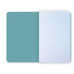 Carnet Pablo Picasso - Grande baigneuse au livre