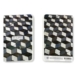 Carnet Pompéi - Pavé décoratif de la Maison du Faune