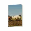 Carnet Rosa Bonheur - Labourage nivernais dit aussi Le Sombrage Cahiers Et Carnets