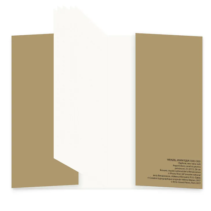 Discount Carnet Wenzel Jamnitzer- Daphné Cahiers Et Carnets