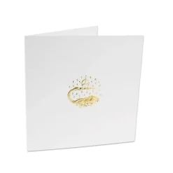 Carte double avec enveloppe - Salamandre du tympan de la porte Dorée - Château de fontainebleau