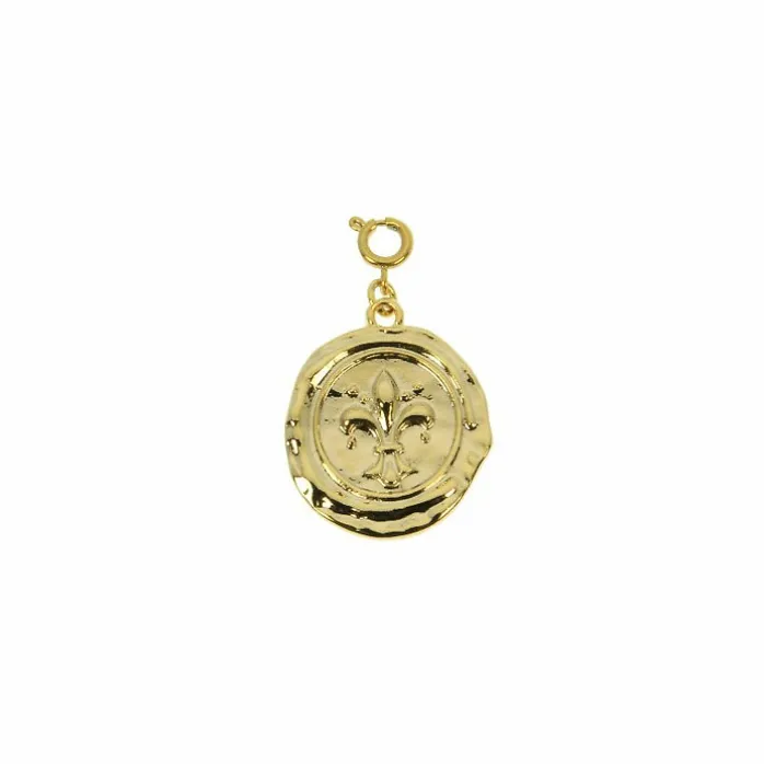 Charm Château de Versailles - Médaille Fleur de lys - Les Cleias