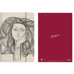 Outlet Chemise à élastique Pablo Picasso - Portrait de Françoise, 1946 - A4 Chemises Et Sous-Chemises