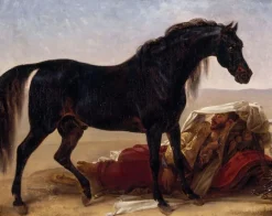 Discount Cheval arabe (toiles sur châssis) Toiles Sur Châssis|Affiches D'Art