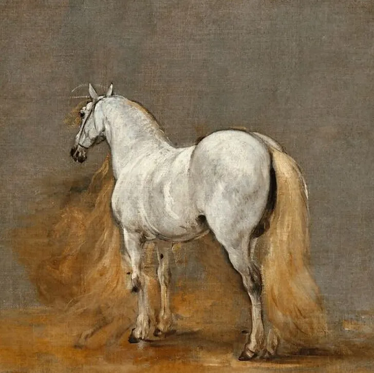 Cheval blanc. Etude (toiles sur châssis) Toiles Sur Châssis